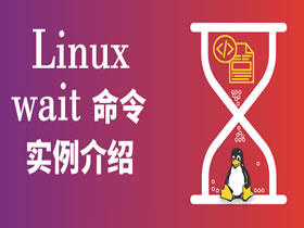 Linux wait（等待）命令用法介绍【3实例】